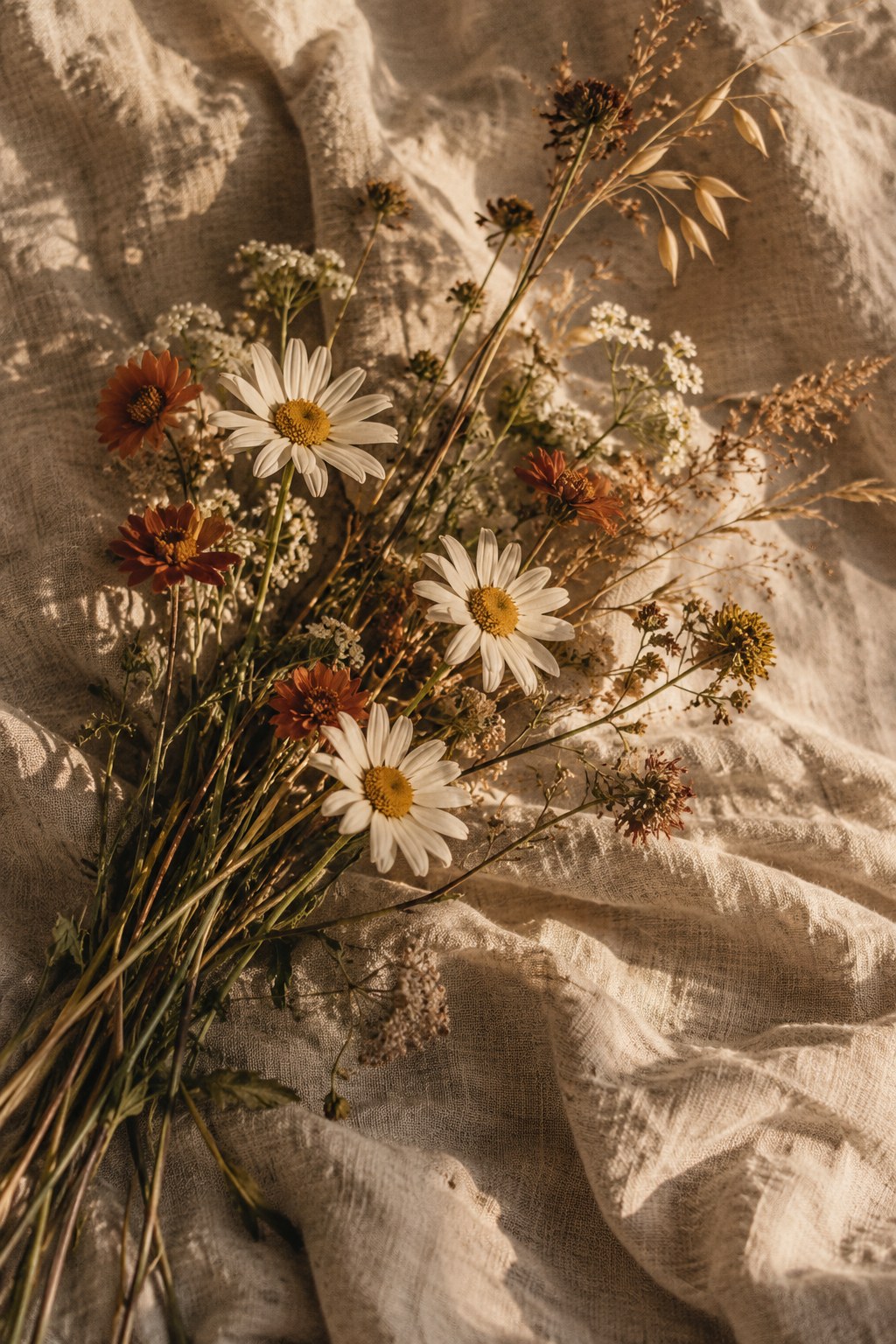 Ivory daisies, rust-colored wildflowers, and dry grasses on sunlit linen